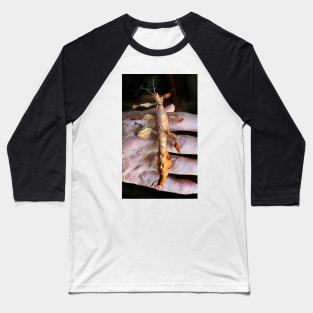 Macleay's Spectre Stick Insect Baseball T-Shirt